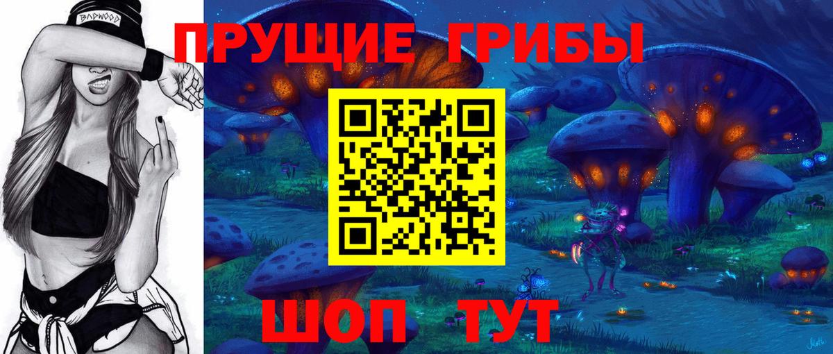 Псилоцибиновые грибы прущие грибы  Вход с VPN  Сосновоборск  Псилоцибиновые грибы GOLDEN TEACHER 